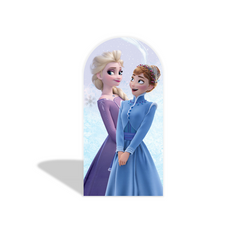 Frozen arch Birthday Party Arch Backdrop Wall Cloth Cover