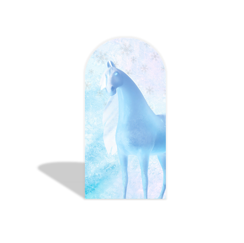 Frozen arch Birthday Party Arch Backdrop Wall Cloth Cover