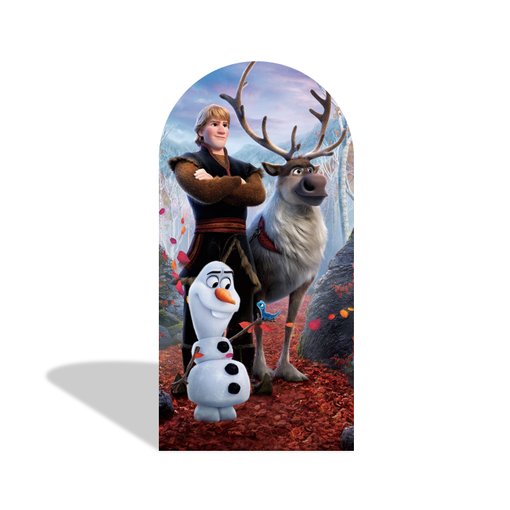 Frozen Anna Elsa Princess Birthday Party Arch Backdrop Wall Cloth Cover