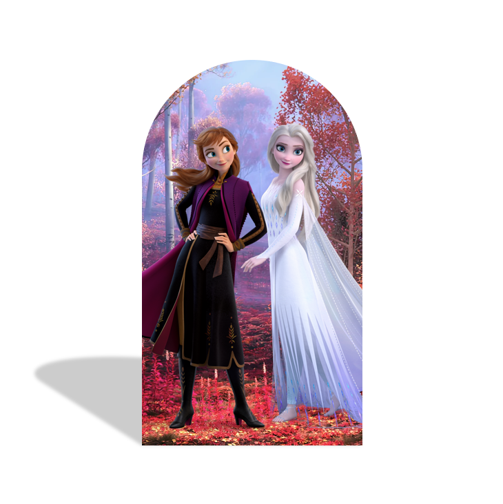Frozen Anna Elsa Princess Birthday Party Arch Backdrop Wall Cloth Cover