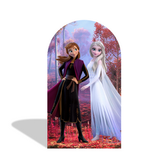 Frozen Anna Elsa Princess Birthday Party Arch Backdrop Wall Cloth Cover
