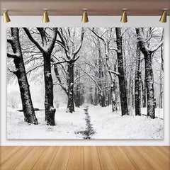 Lofaris Snowy Winter Forest Path Photography Backdrop with Bare Trees and White Snow, Scenic Nature Background for Studio Portrait