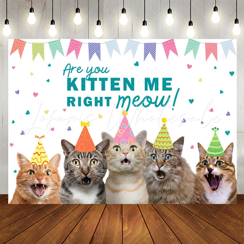 Lofaris Are You Kitten Me Right Meow Cats Birthday Backdrop