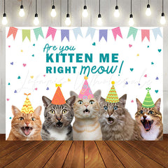 Lofaris Are You Kitten Me Right Meow Cats Birthday Backdrop