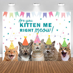 Lofaris Are You Kitten Me Right Meow Cats Birthday Backdrop