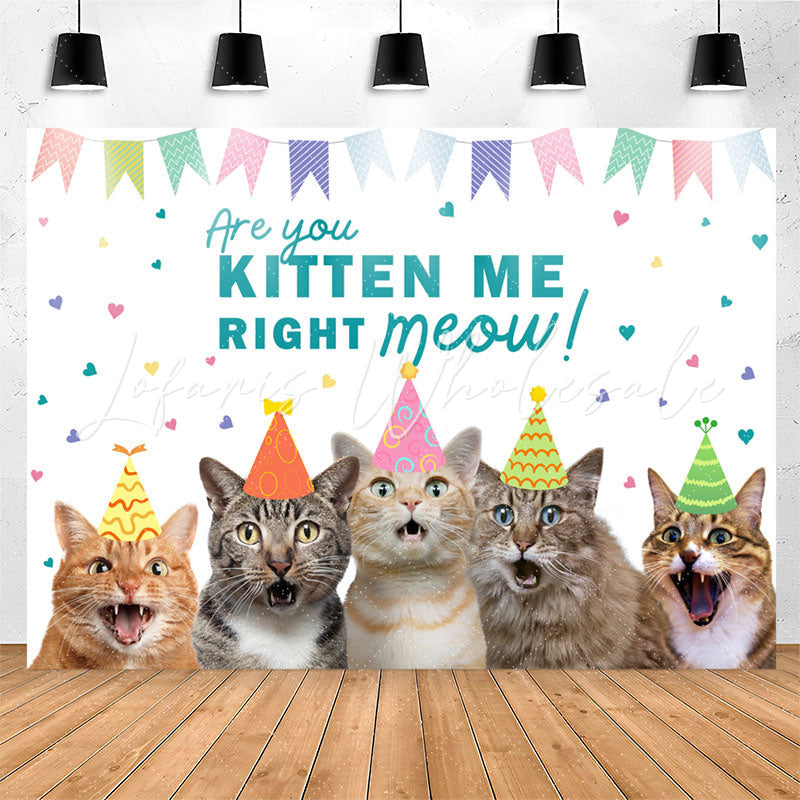 Lofaris Are You Kitten Me Right Meow Cats Birthday Backdrop