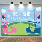 Lofaris Blue And Pink Bike He Or She Baby Shower Backdrops