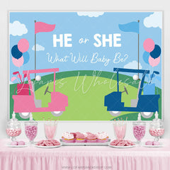Lofaris Blue And Pink Bike He Or She Baby Shower Backdrops