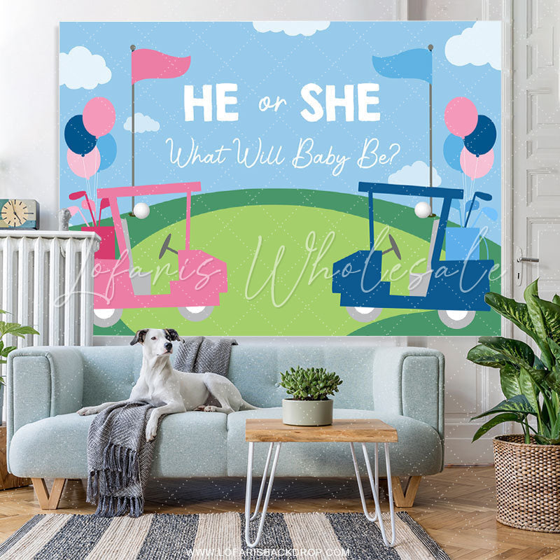 Lofaris Blue And Pink Bike He Or She Baby Shower Backdrops