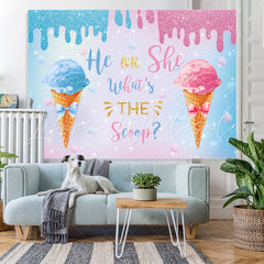 Lofaris Blue And Pink He Or She Ice Cream Baby Shower Backdrop