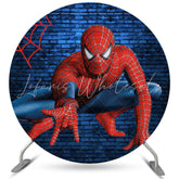 Lofaris Blue Bricks Round Cartoon Hero Birthday Backdrop For Boy