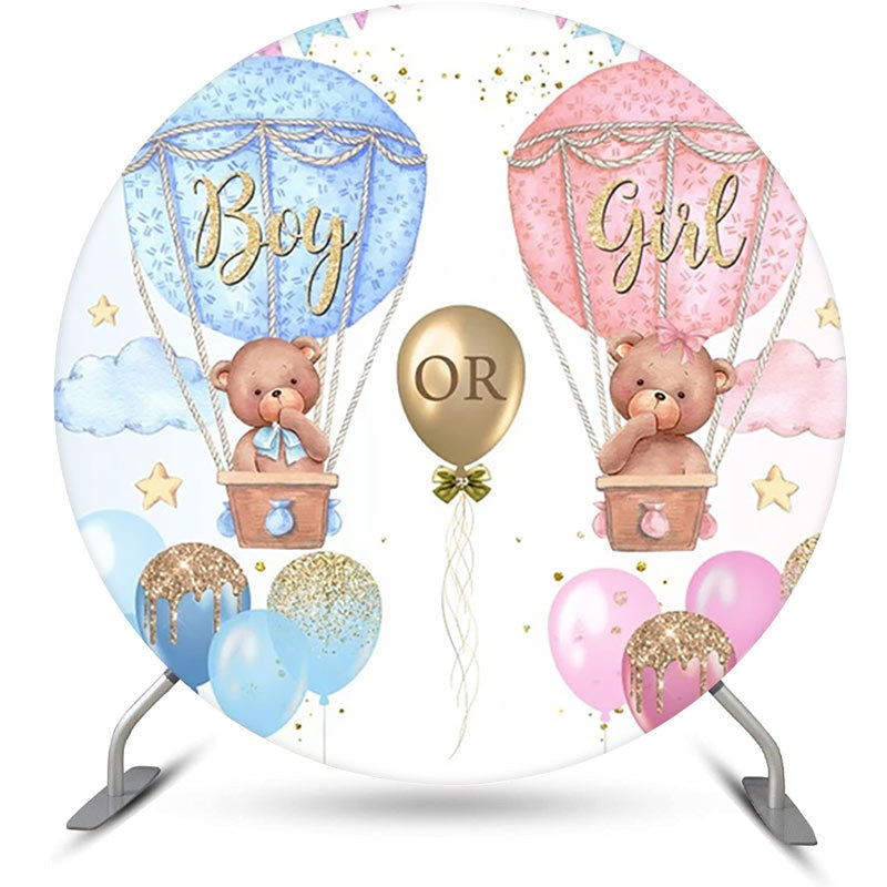 Lofaris Blue Pink Hot Balloon Round Gender Reveal Backdrop