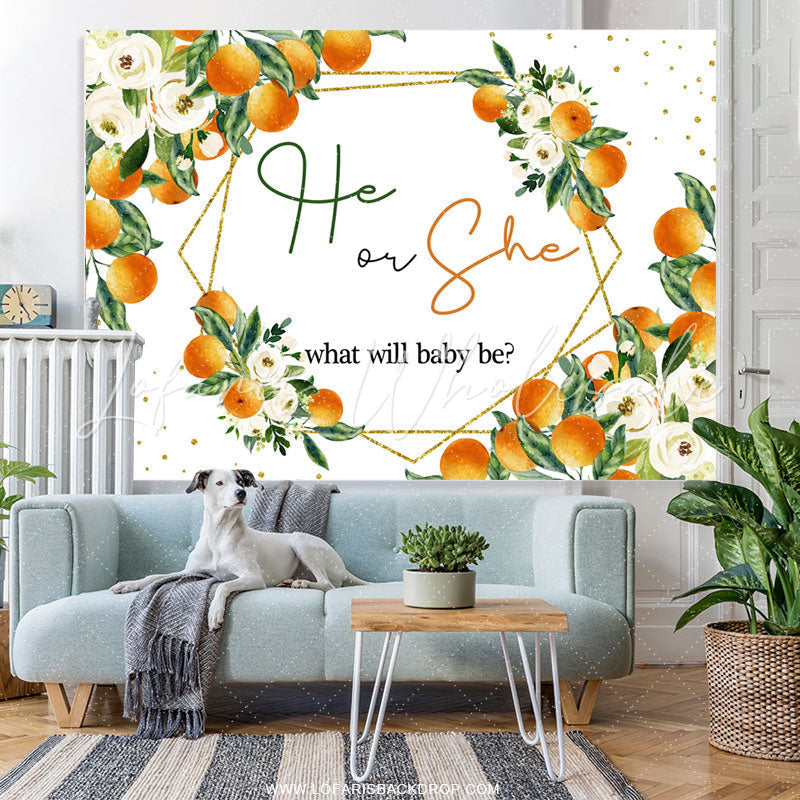 Lofaris Boho Theme White He Or She What Will Baby Be Backdrop