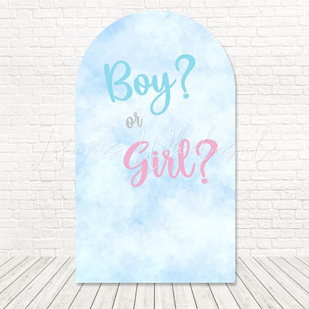 Boy Or Girl Gender Reveal Arch Backdrop For Baby Event Joy