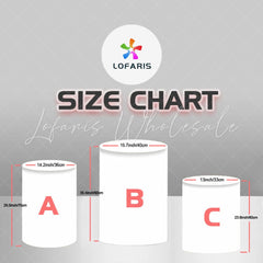 Lofaris Castle and Girls Happy Birthday Round Backdrop Kit