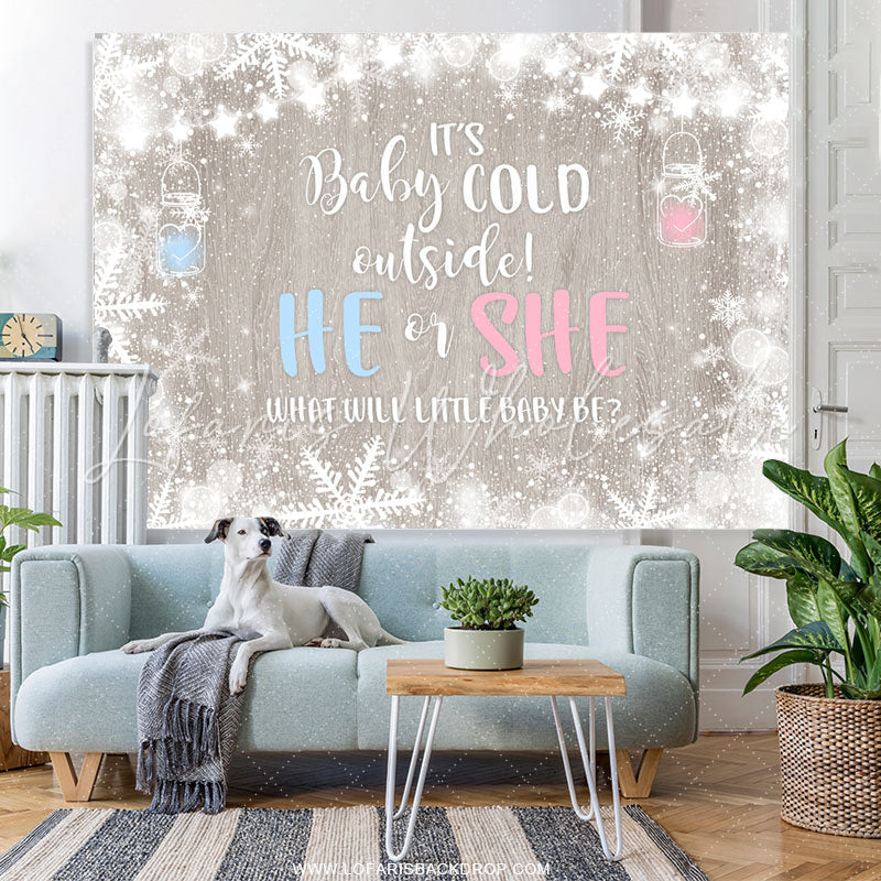 Lofaris Cold Winter Snowflake Gender Reveal Baby Shower Backdrop