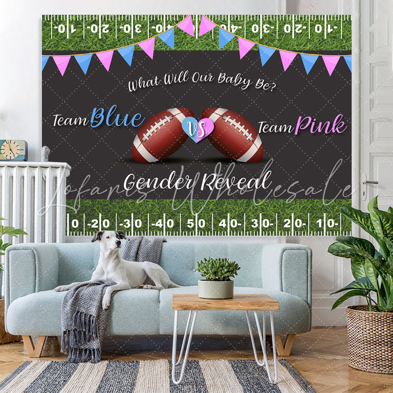Lofaris Football Backdrop Baby Shower Pink and Blue Backdrops