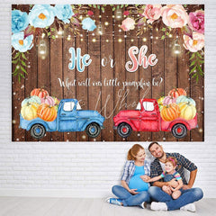 Lofaris He or She Car Board Photoshoot Backdrop for Baby Shower