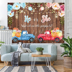 Lofaris He or She Car Board Photoshoot Backdrop for Baby Shower