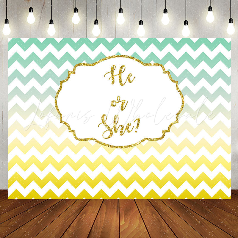 Lofaris He Or She Gradient Wave Stripe Gender Reveal Backdrop