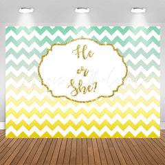 Lofaris He Or She Gradient Wave Stripe Gender Reveal Backdrop