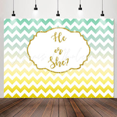 Lofaris He Or She Gradient Wave Stripe Gender Reveal Backdrop