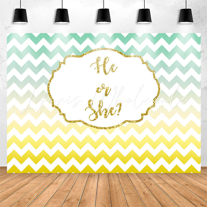 Lofaris He Or She Gradient Wave Stripe Gender Reveal Backdrop