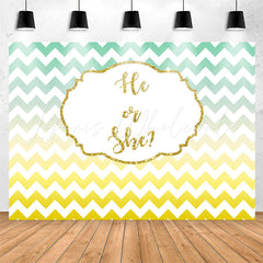 Lofaris He Or She Gradient Wave Stripe Gender Reveal Backdrop