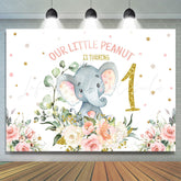 Lofaris Litter Peanut Is Turning One Birthday Backdrop