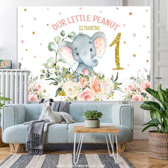 Lofaris Litter Peanut Is Turning One Birthday Backdrop