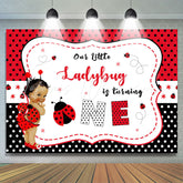 Lofaris Little Ladybuy Is Turning One Happy Birthday Backdrop