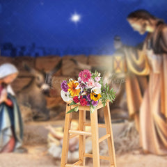 Lofaris Birth Of Jesus Christmas Night Backdrop For Photo