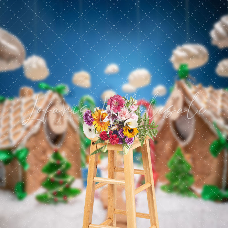 Lofaris Blue Sky Clouds Path Snowy Christmas House Backdrop
