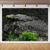 Lofaris Dark Textured Rock Photography Backdrop with Green Moss Natural Studio Background for Professional Portrait