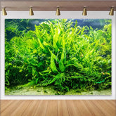 Lofaris Vibrant Green Underwater Plant Photography Backdrop with Lush Aquatic Foliage Natural Studio Background for Nature Photoshoot