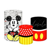 Mickey Disney Magic Fun Themed Cover Cylinders Kit