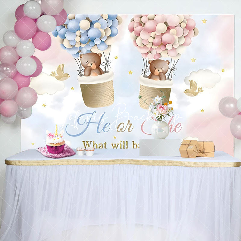 Lofaris Pink Blue Cloud Bear Boho Gender Reveal Backdrop