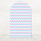 Pink Blue Gender Reveal Theme Arch Backdrop For Party Moment