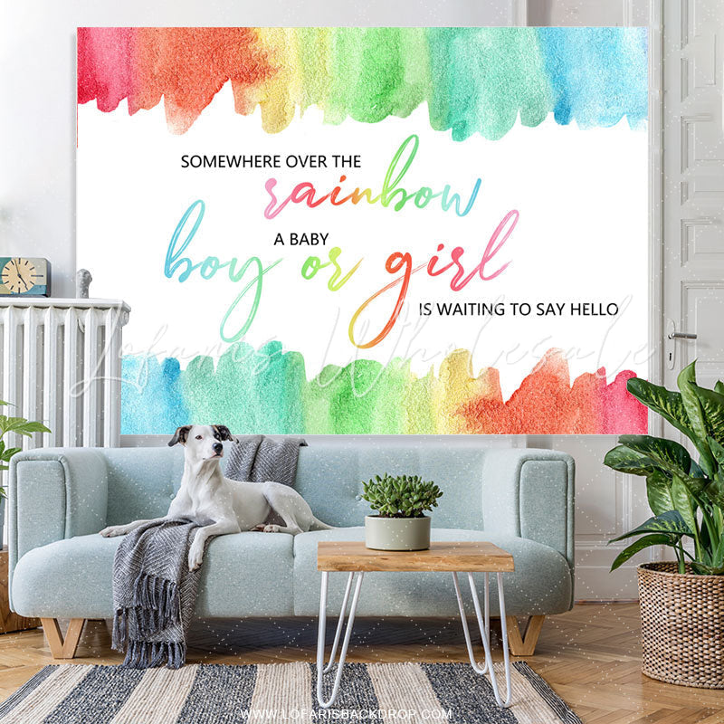Lofaris Rainbow Themed Gender Reveal Baby Shower Backdrop