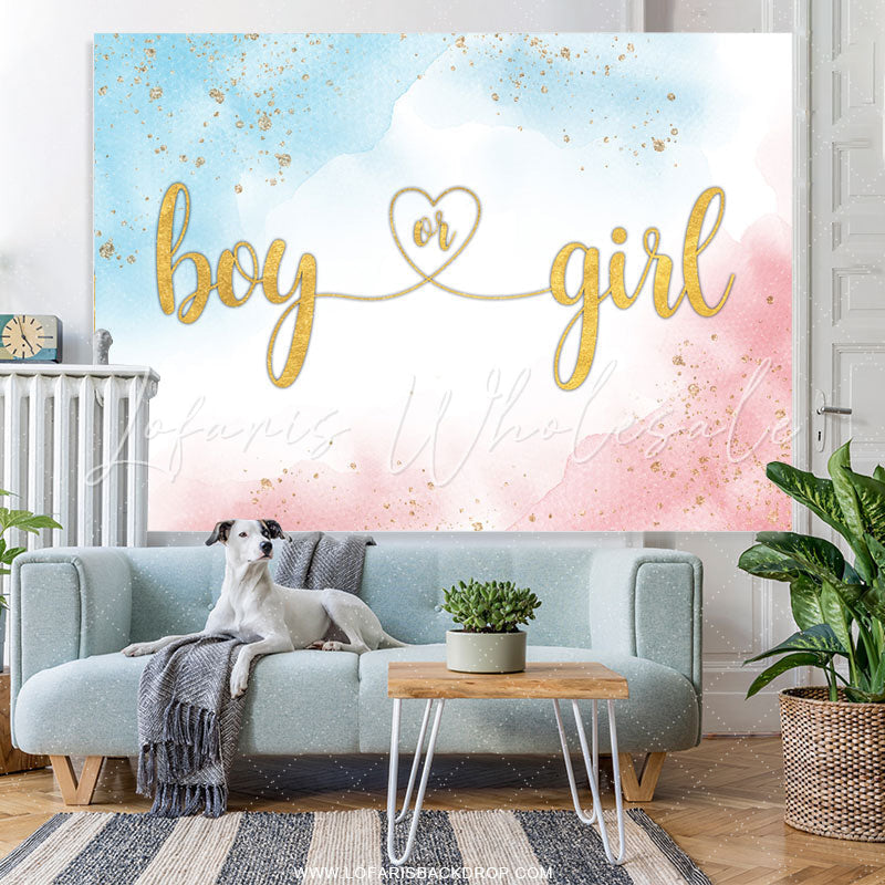 Lofaris Simple Baby Blue And Pink Gender Reveal Backdrop