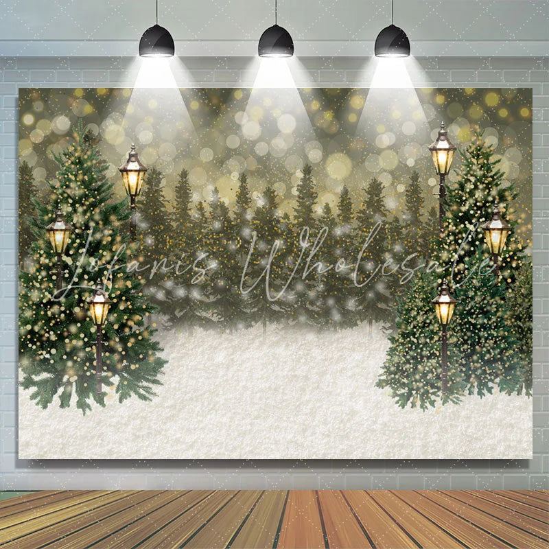 Lofaris Simple Lighting Bokeh Snowy Happy Holiday Backdrop