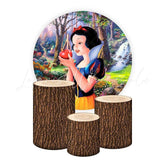 Snow White Themed Round Backdrop and Cylinders Kit for Parties