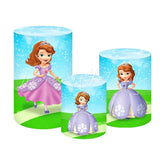 Sofia the First Royal Magic Story Themed Cover Cylinders Kit