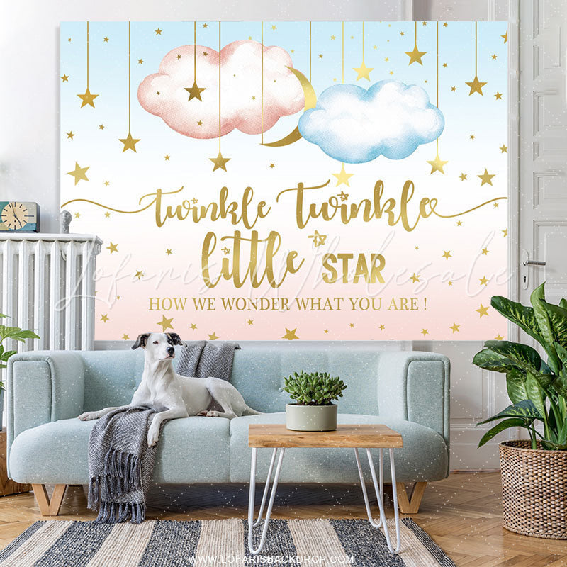Lofaris Twinkle Star Night Gender Reveal Backdrop
