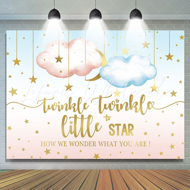 Lofaris Twinkle Star Night Gender Reveal Backdrop