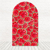 Watermelon Fresh Summer Fun Arch Backdrop For Picnic Party