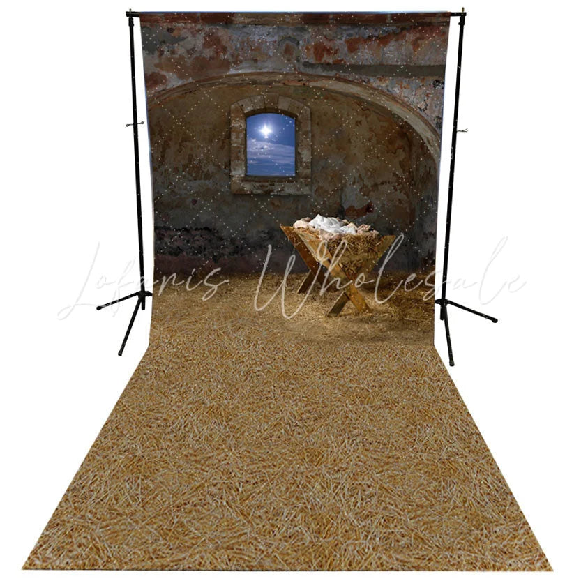 Lofaris Wheat Floor Window Sky Brick Photo Booth Backdrop