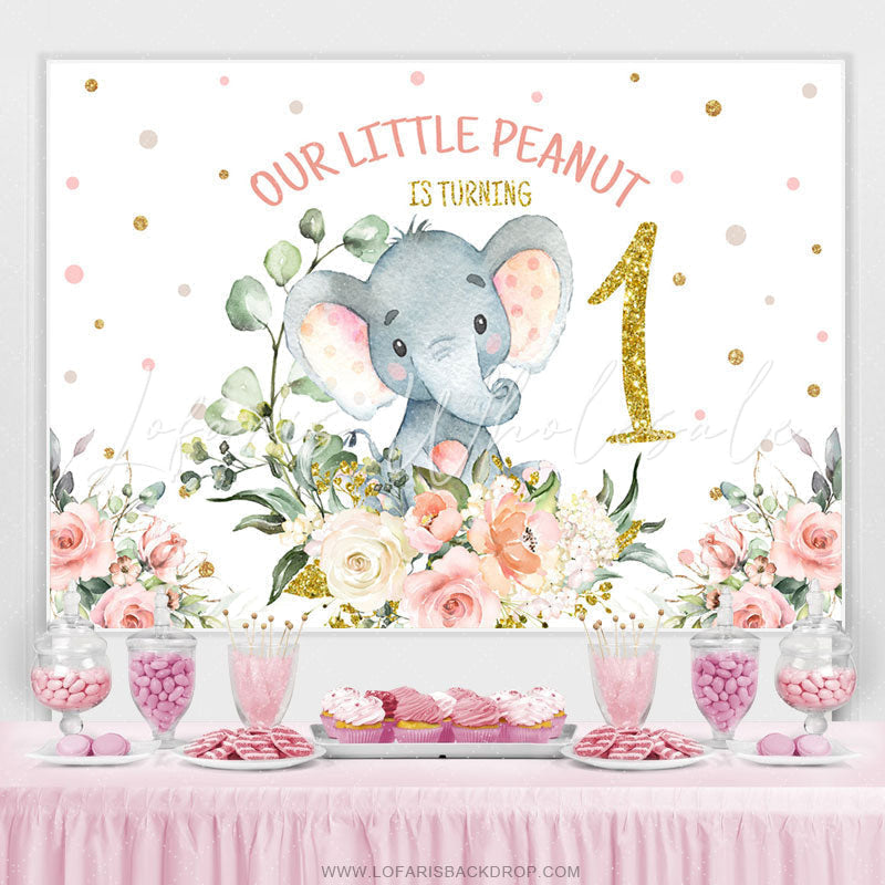 Lofaris Litter Peanut Is Turning One Birthday Backdrop