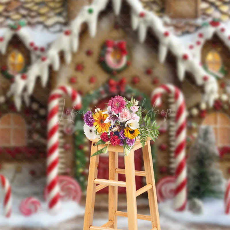 Lofaris Christmas Candy Gingerbread Home Wonderland Backdrop