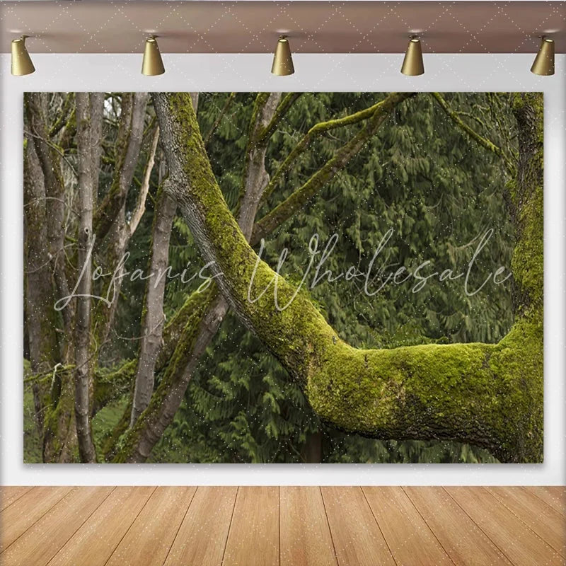 Lofaris Lush Green Mossy Forest Photography Backdrop Ancient Tree Branches and Natural Woodland Background for Studio Photoshoots